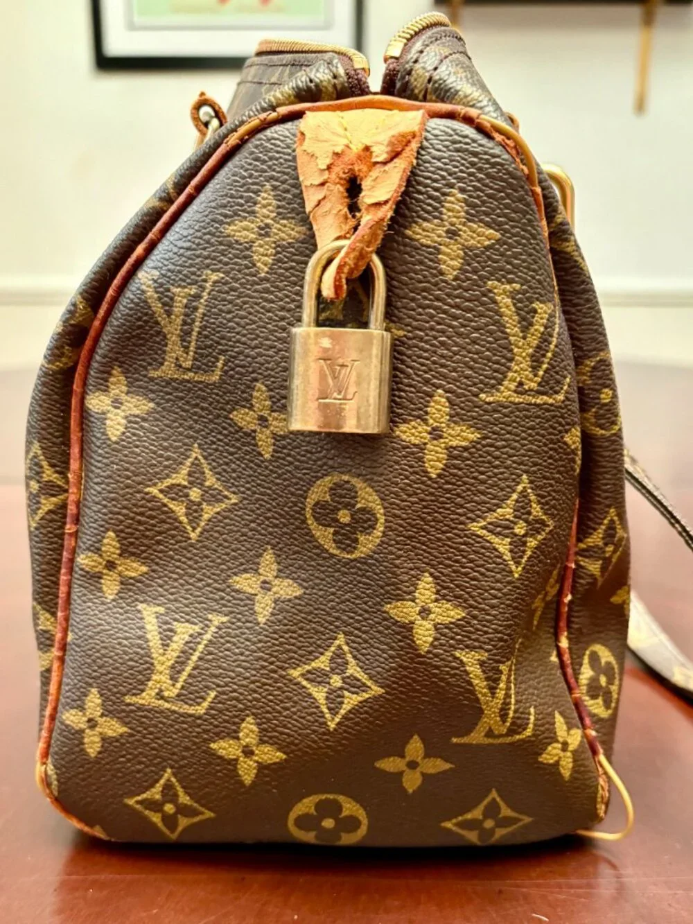 Louis Vuitton Speedy Bag with Shoulder Strap